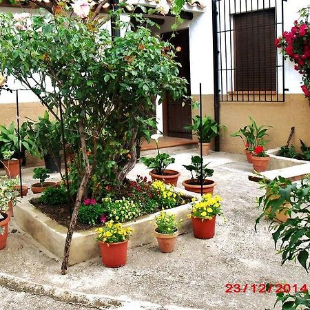 Casa Del Abuelo 1 Villa Yeste Exterior photo