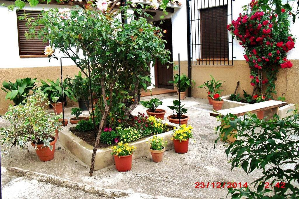 Casa Del Abuelo 1 Villa Yeste Exterior photo